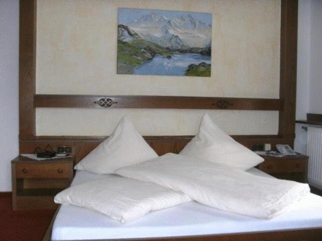 Pension Steiner Mayrhofen Buitenkant foto